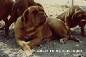 ��������� ��� Dama de la Seigneurie des Chartrons