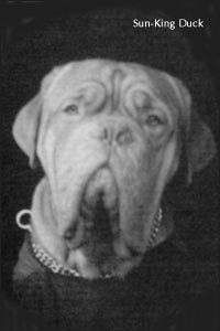 ��������� ��� Sun-King Duck