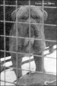 ��������� ��� Ferro von B&auml;ren