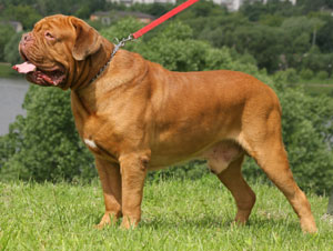 ��������� ��� �����