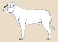 �������� ���������� ����