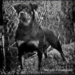 ��������� Itta vom Zimmerplatz