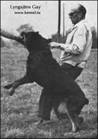 ��������� Lyngsj&ouml;ns Gay