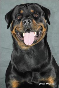 ��������� West Winner